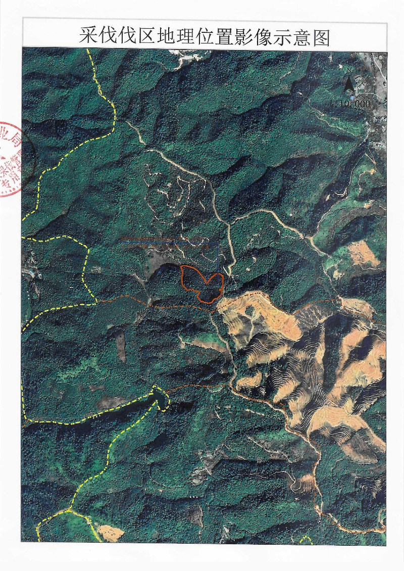 Scan_0002.jpg