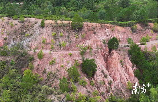 治理前崩岗情况。 通讯员 供图 治理前崩岗情况。 通讯员 供图