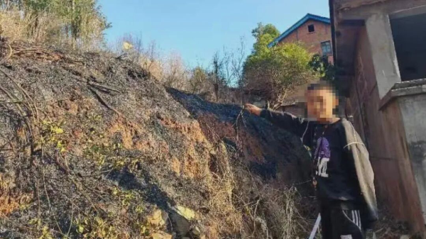 微信图片_2026-02-11_094201_019.jpg