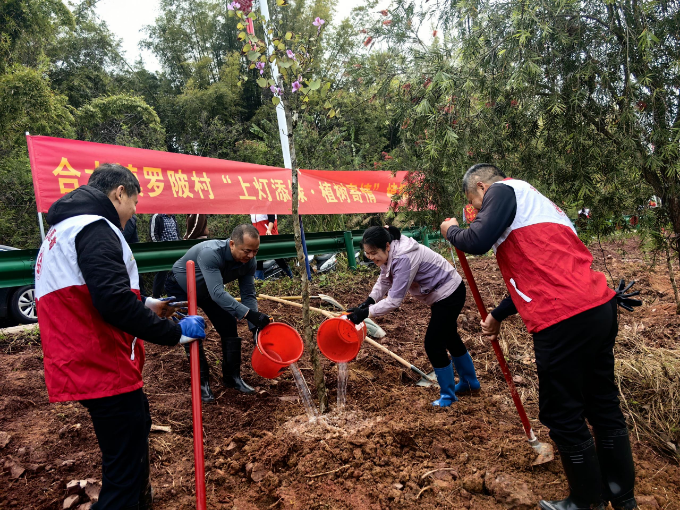 图片 4.png