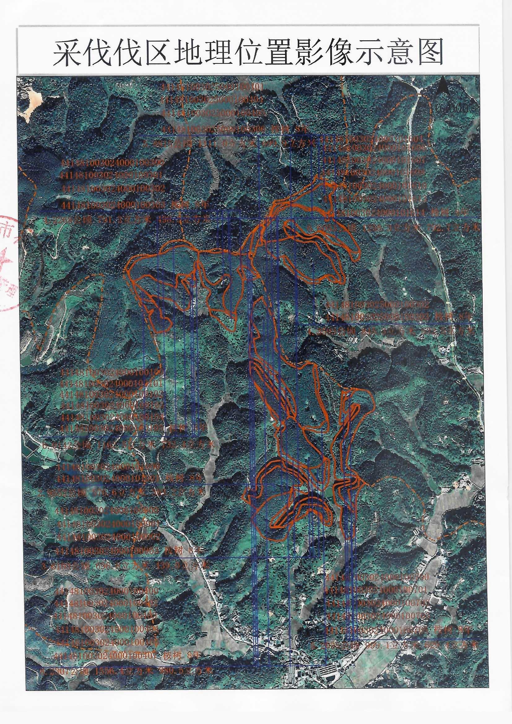 Scan_0008.jpg