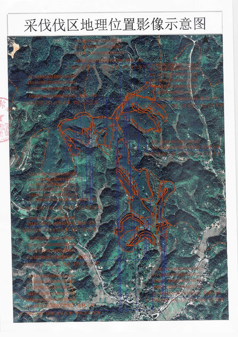 Scan_0006.jpg
