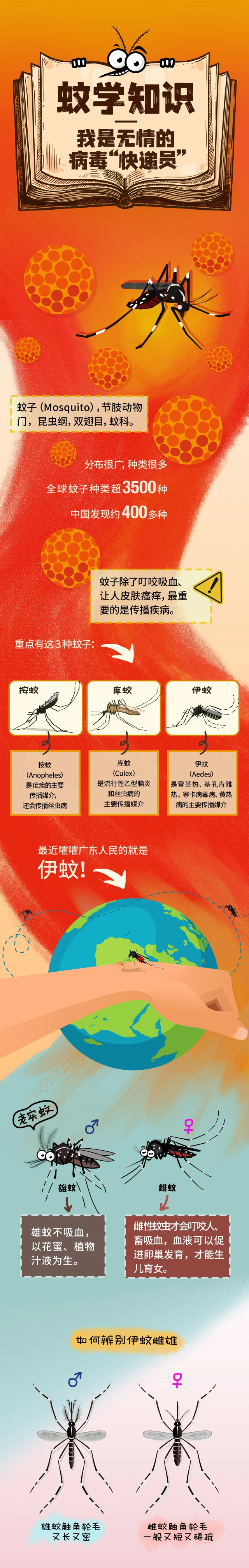 已编辑图片