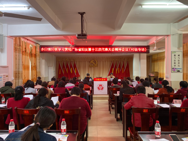 妇联代表大会村级.jpg