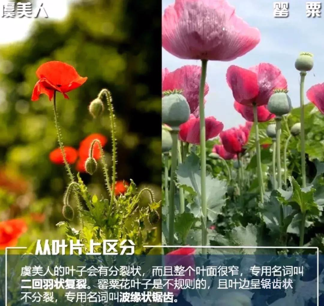 已编辑图片