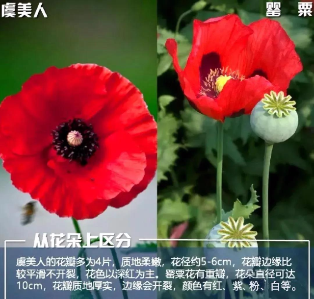 已编辑图片