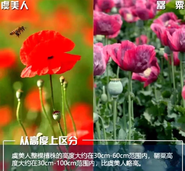 已编辑图片