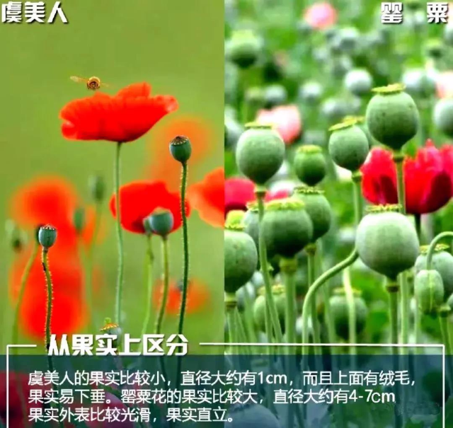 已编辑图片