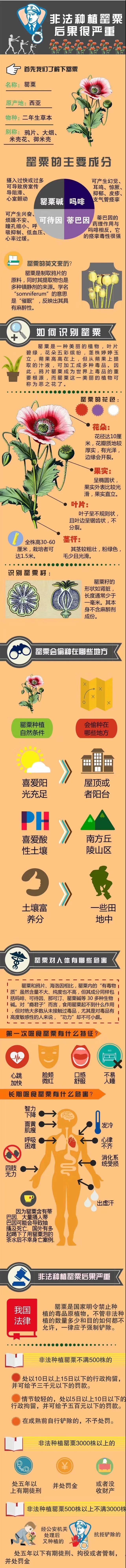 微信图片_20200405061524.jpg