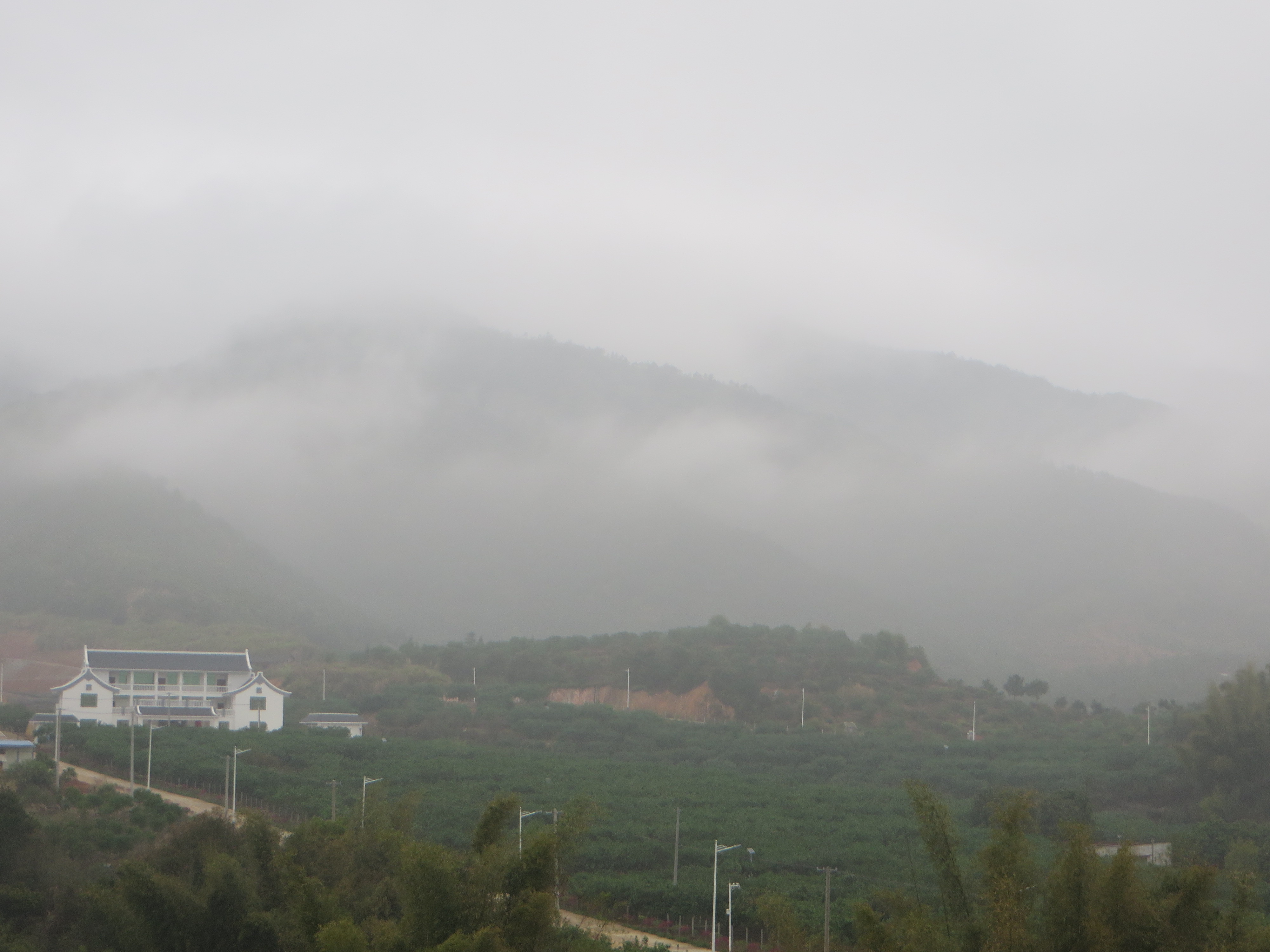 201503251710512598_cQ54dF9X.jpg