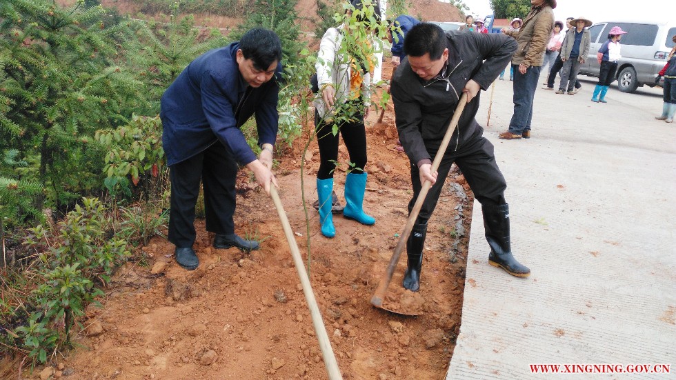 QQ图片20150326174653.jpg