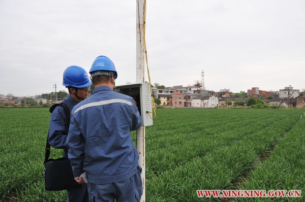 检查变压器、开关、线路等 (2).JPG