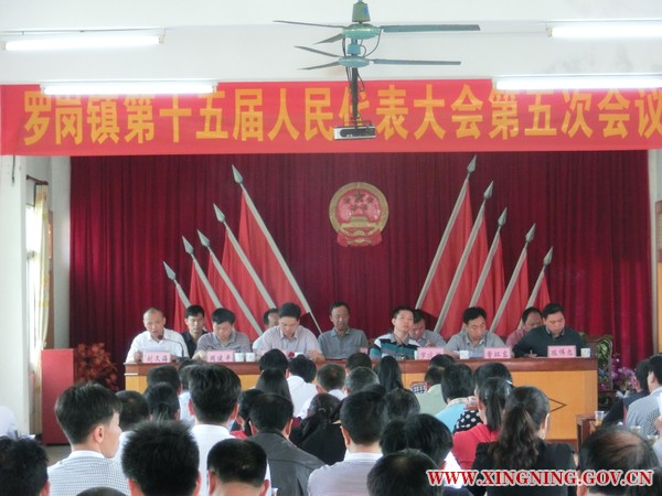 CIMG2304.JPG