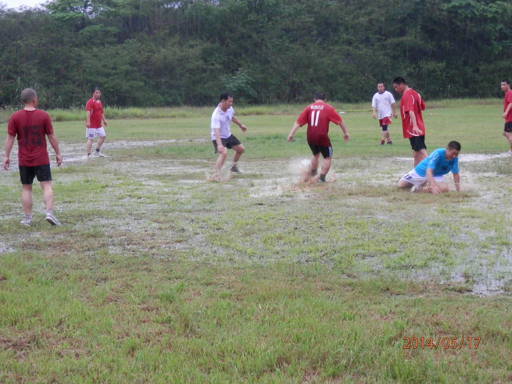 201504151057464205_GY2yJfaW.jpg