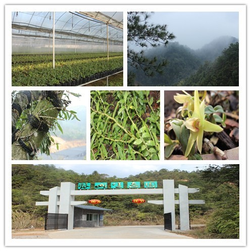 石马银山生态园.jpg