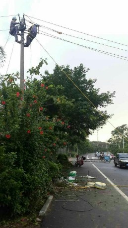 QQ图片20150602112513.jpg