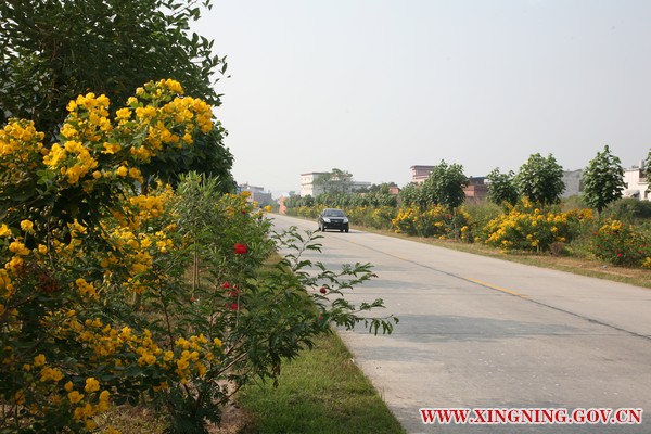 梅华线兴宁段绿色廊道建设示范路.jpg