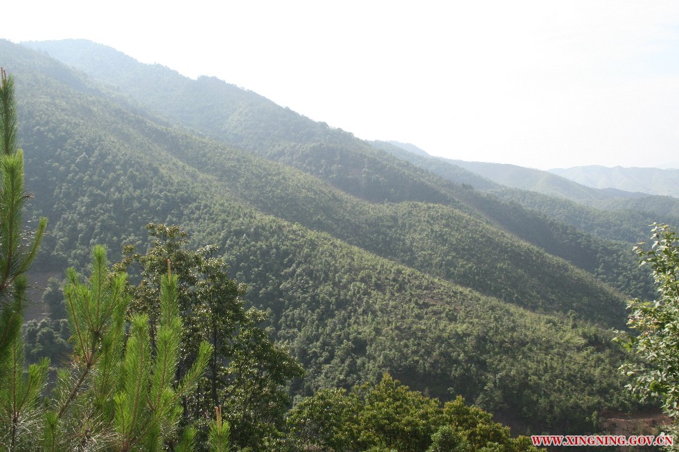 远景 (1).jpg