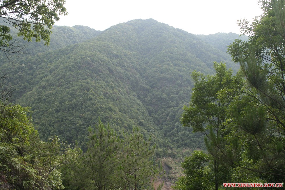 远景.jpg