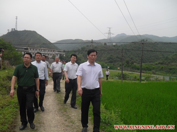 SDC11835.JPG