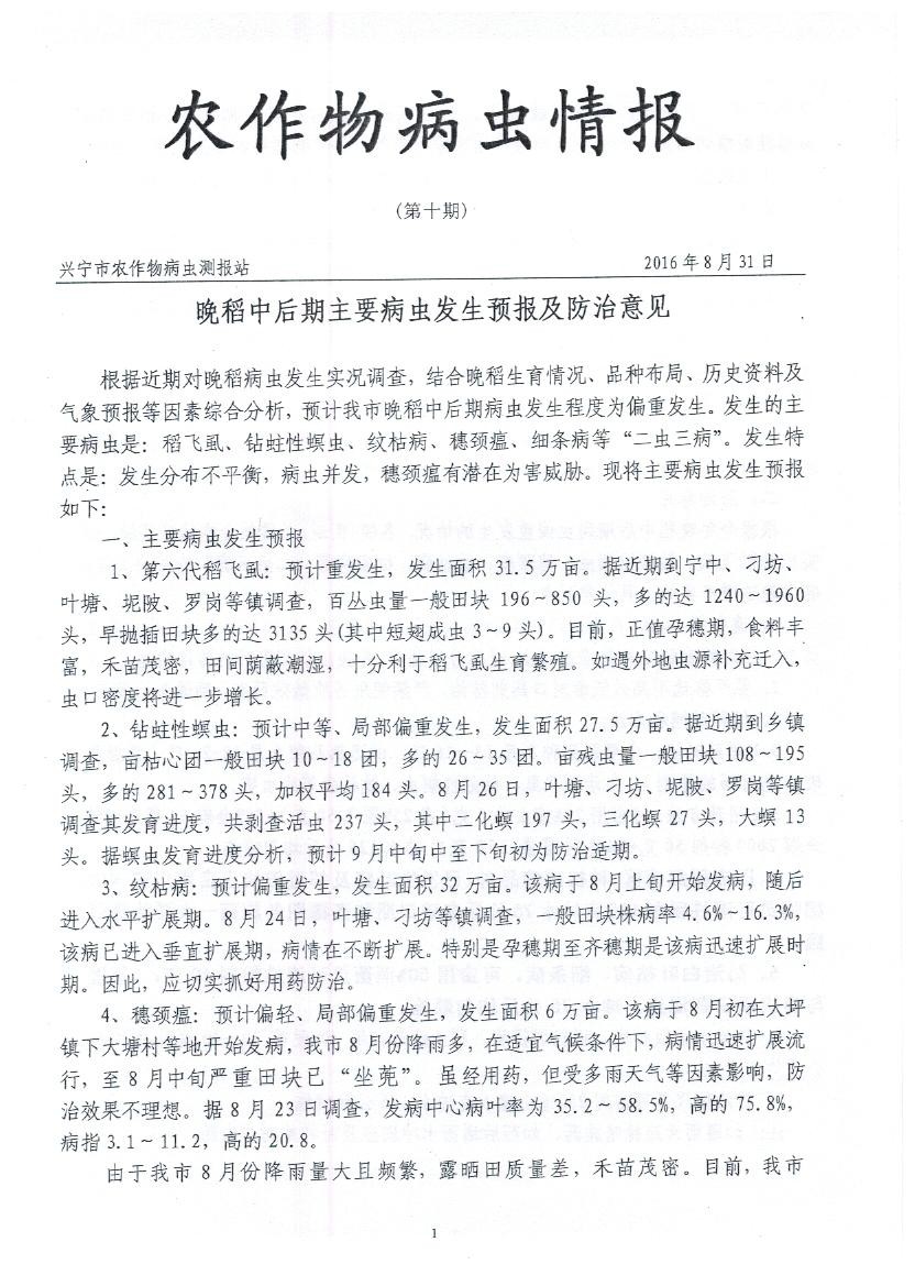 气象 005.jpg