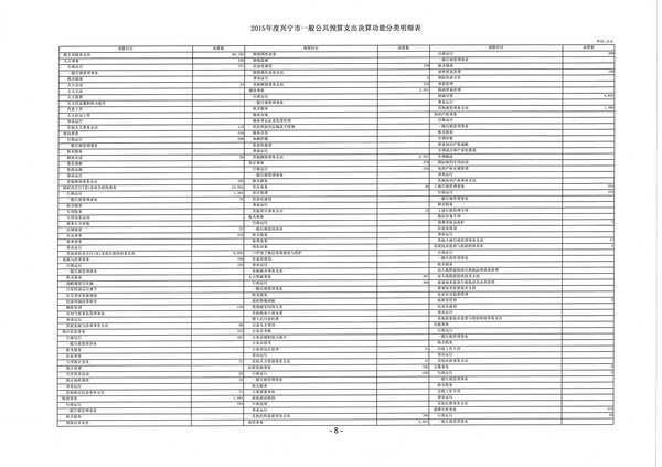 2015年度兴宁市一般公共预算支出决算功能分类明细表8.jpg