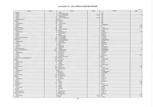 2015年度兴宁市一般公共预算支出决算功能分类明细表9.jpg