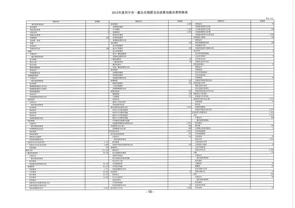 2015年度兴宁市一般公共预算支出决算功能分类明细表10.jpg