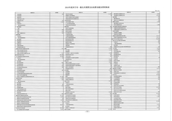2015年度兴宁市一般公共预算支出决算功能分类明细表11.jpg