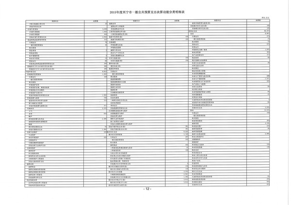 2015年度兴宁市一般公共预算支出决算功能分类明细表12.jpg