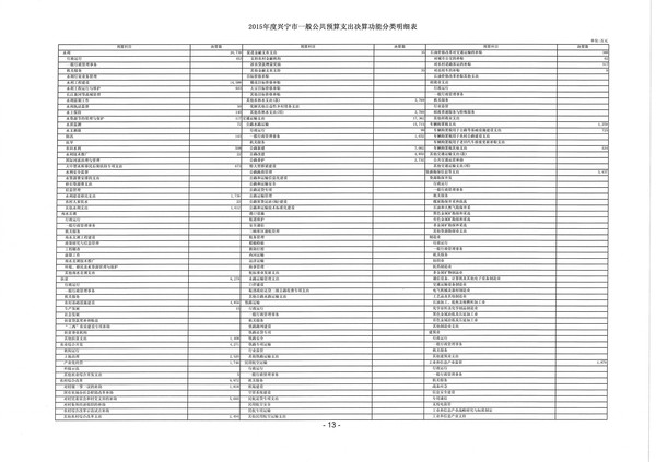 2015年度兴宁市一般公共预算支出决算功能分类明细表13.jpg