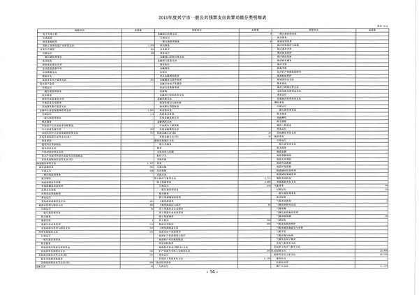 2015年度兴宁市一般公共预算支出决算功能分类明细表14.jpg