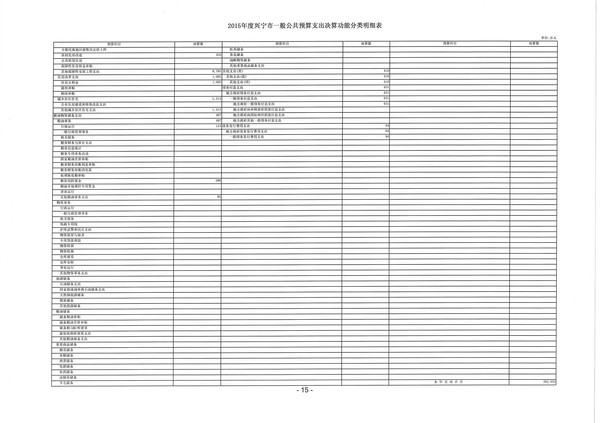 2015年度兴宁市一般公共预算支出决算功能分类明细表15.jpg
