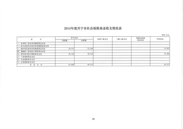 2015年度兴宁市社会保险基金收支情况表30.jpg