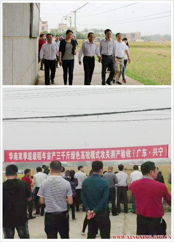 QQ图片20161119225638.jpg