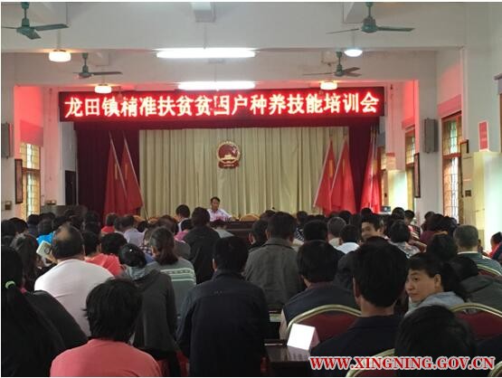 QQ截图20161125151211.jpg