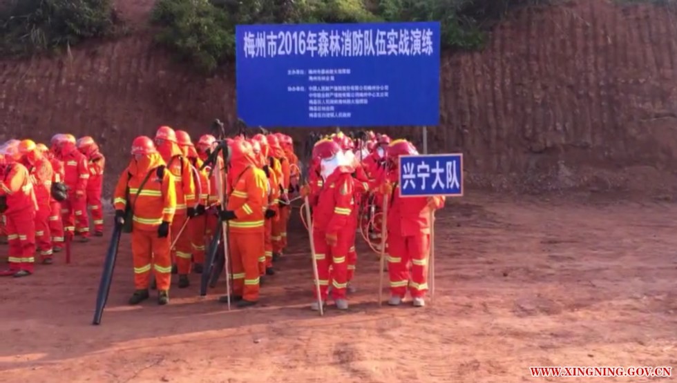 兴宁队.png