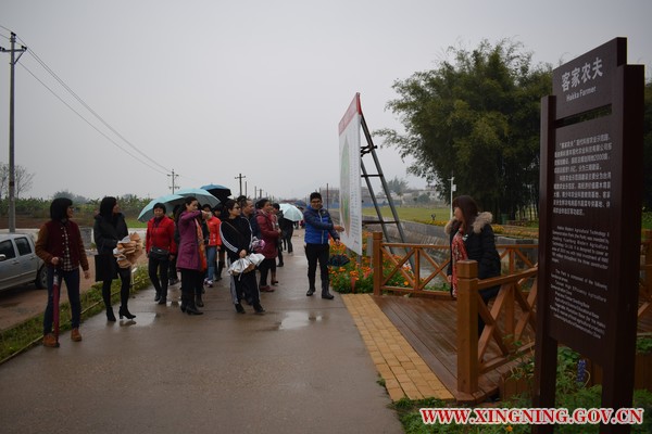 DSC_0173 - 万能看图王.JPG