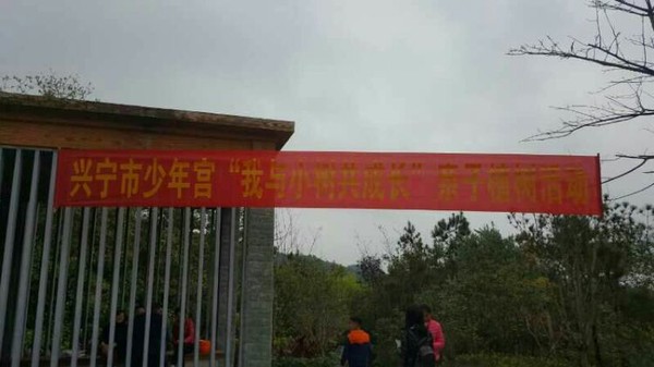 c-12114203.jpg