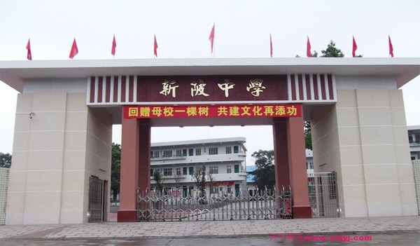 c-221613441.jpg