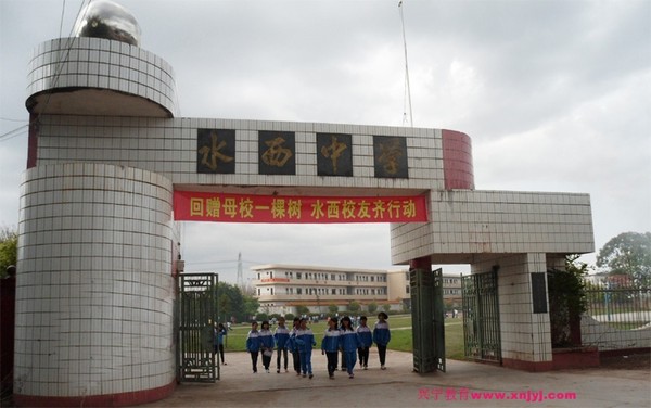 c-221650101.jpg