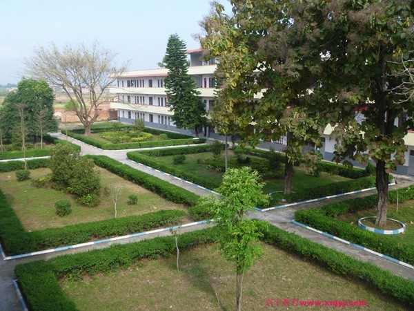 c-200859281.jpg