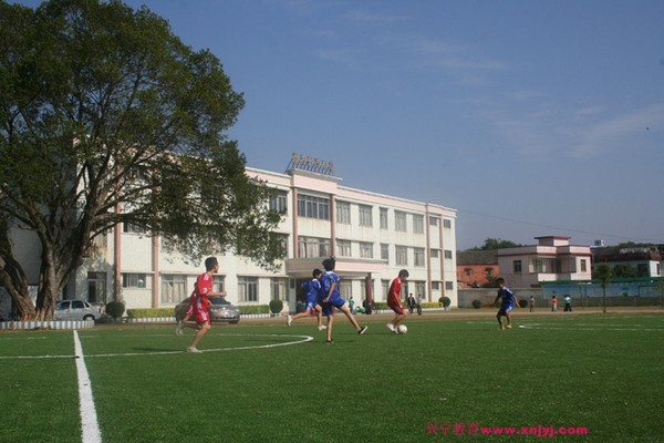 c-261535501.jpg
