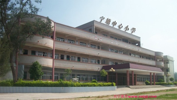 c-261531361.jpg