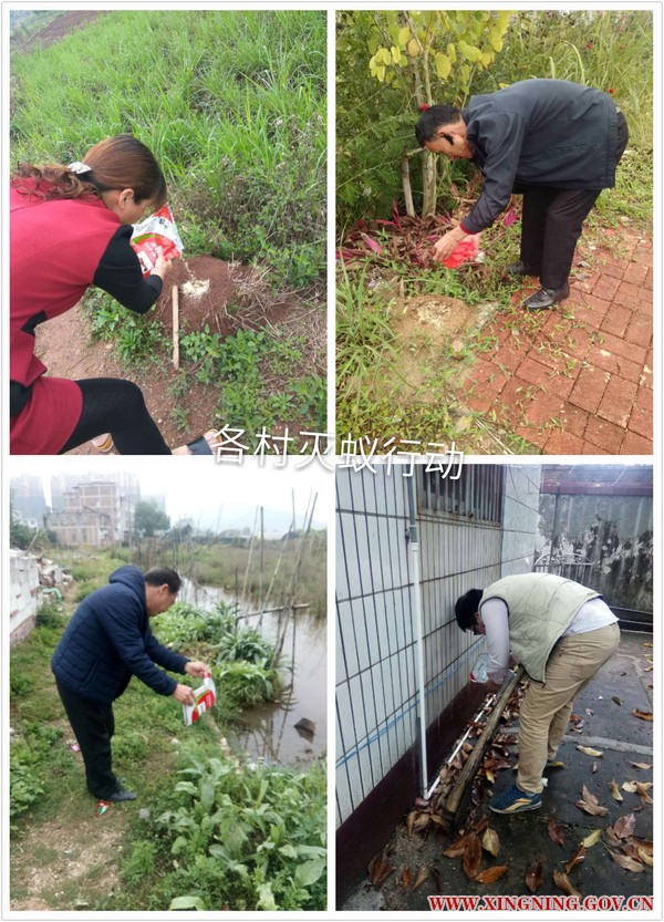 QQ图片20170329104838.jpg