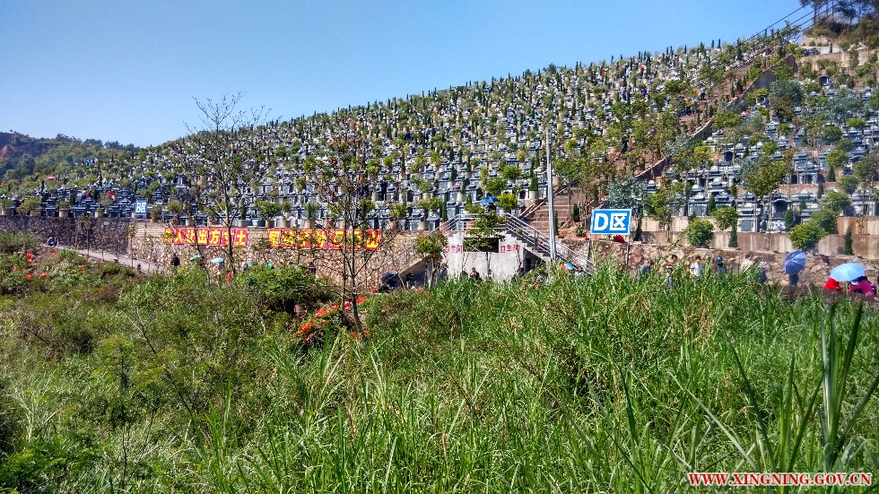 504475964667023765.jpg