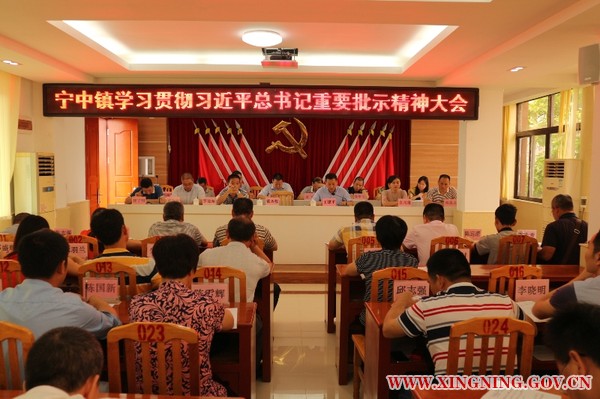王镇讲话.jpg