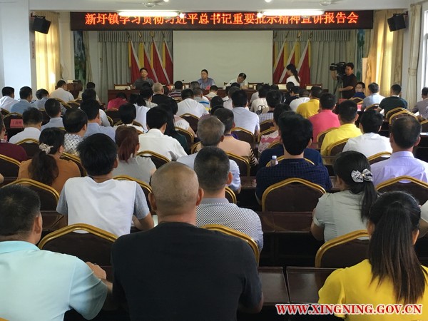 新圩镇召开学习贯彻习近平总书记重要批示精神宣讲报告会.jpg