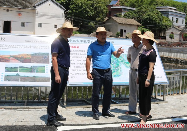 温常委调研2.jpg