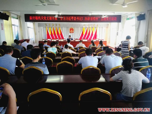 新圩镇机关党支部开展“学习习近平总书记7.26讲话精神”主题党日活动1.jpg